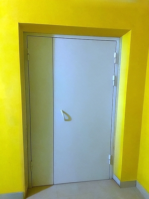 Глухая полуторная дверь Глухая полуторная дверь