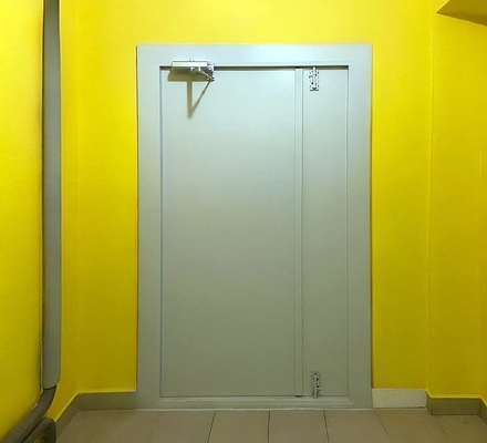 Глухая полуторная дверь