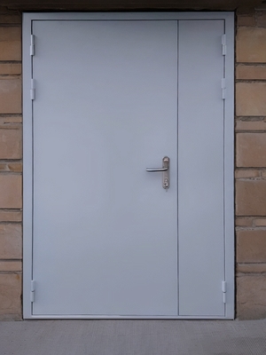 Полуторная глухая дверь Полуторная глухая дверь
