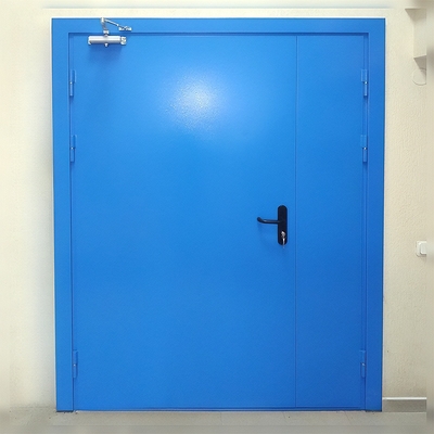 Широкая синяя дверь