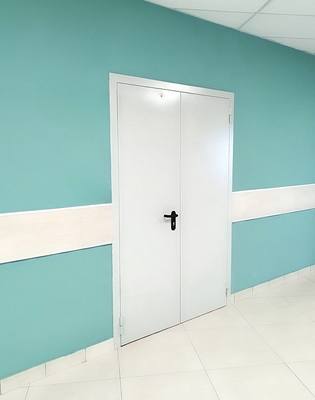 Глухая двупольная дверь Глухая двупольная дверь