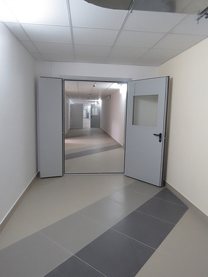 Полуторная дверь с окном