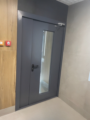 Серая дверь EIW